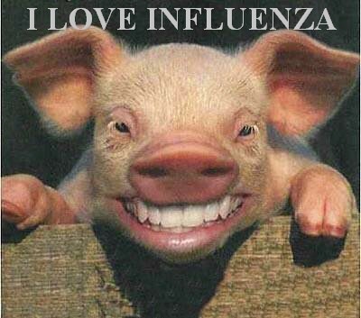 I love influenza, skiing pig