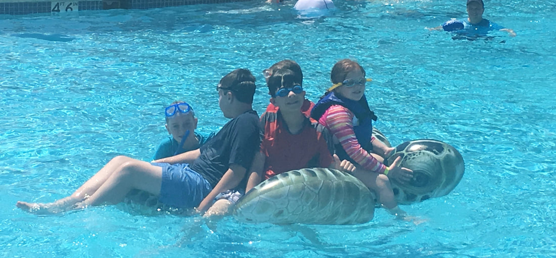 Five children on float toy in swimming pool