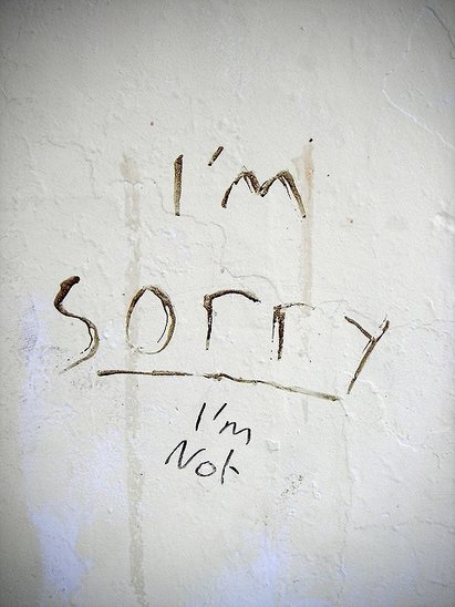 I'm Sorry I'm Not graffiti photo